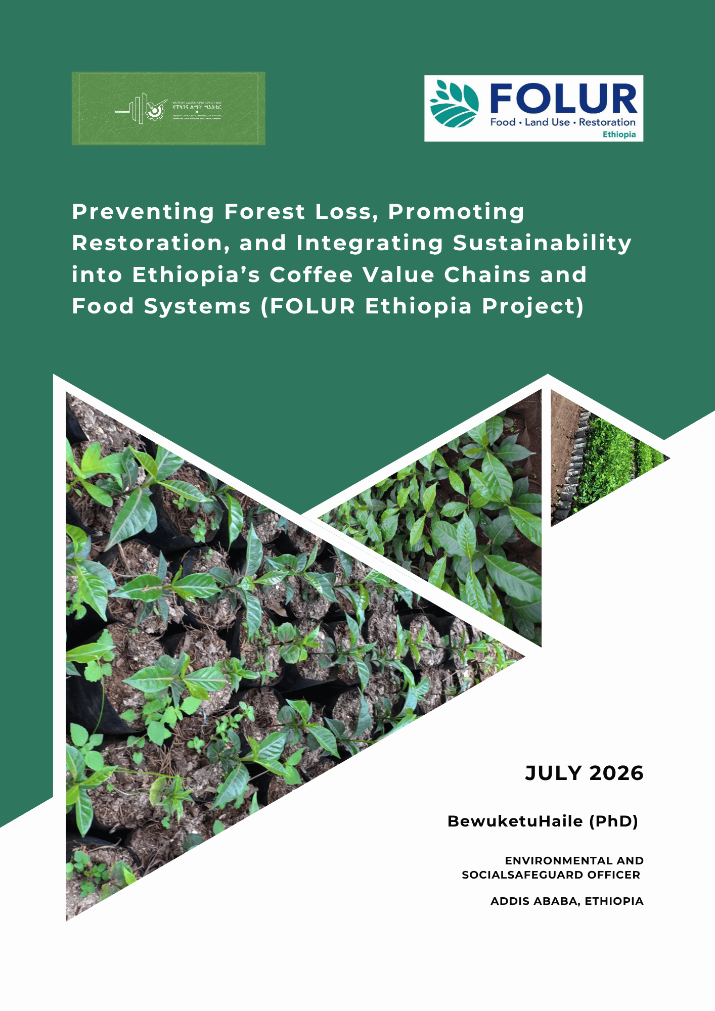 Tree Planting Guideline