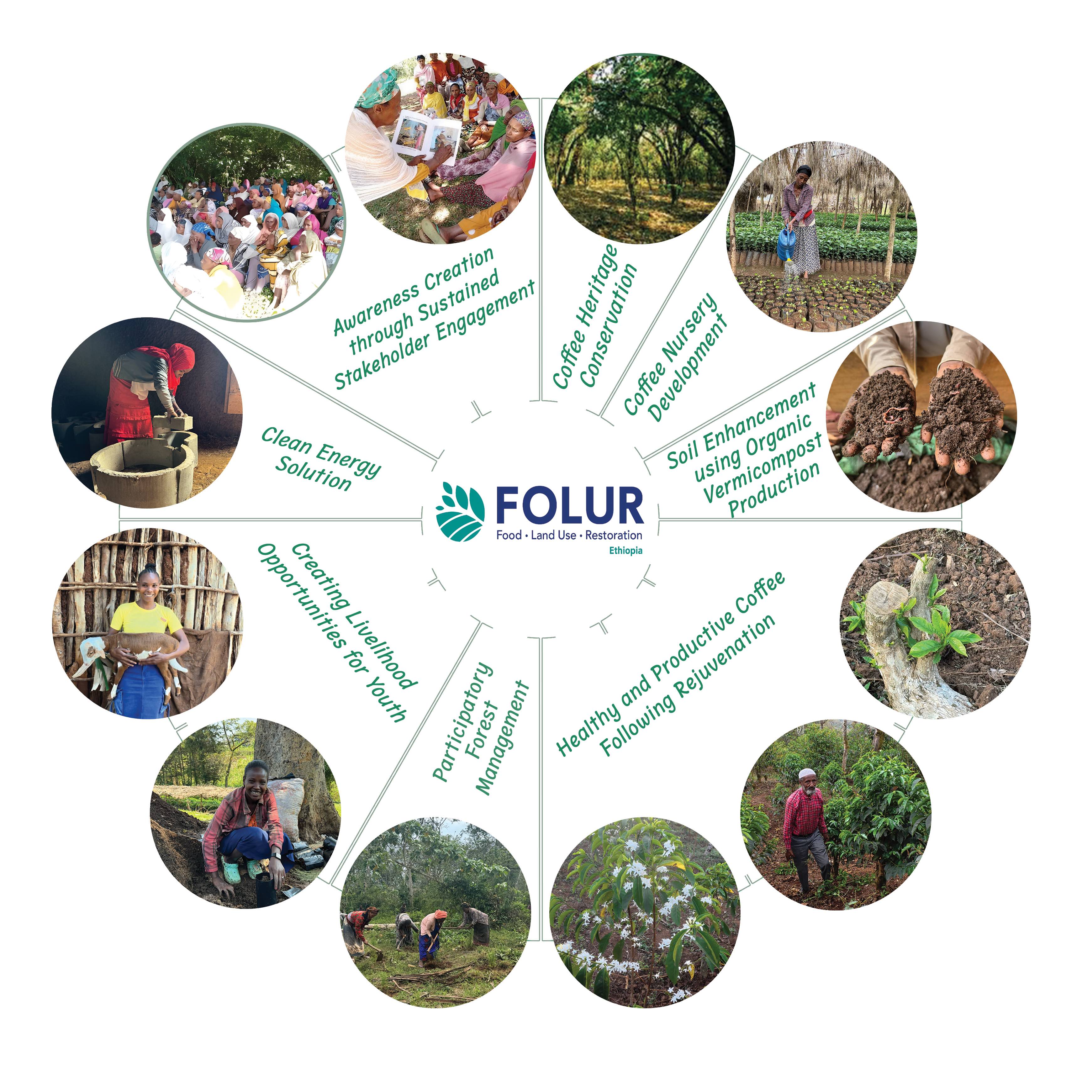 FOLUR Quick Facts